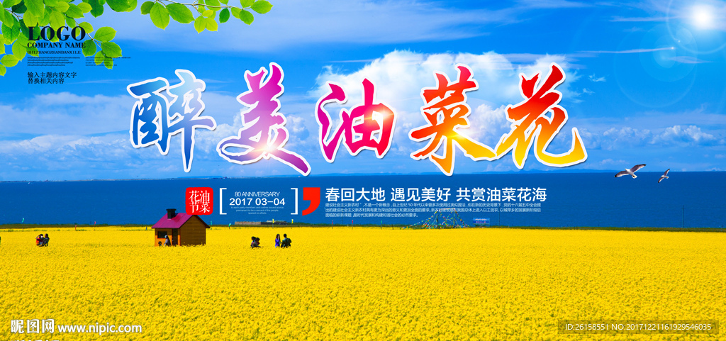 油菜花
