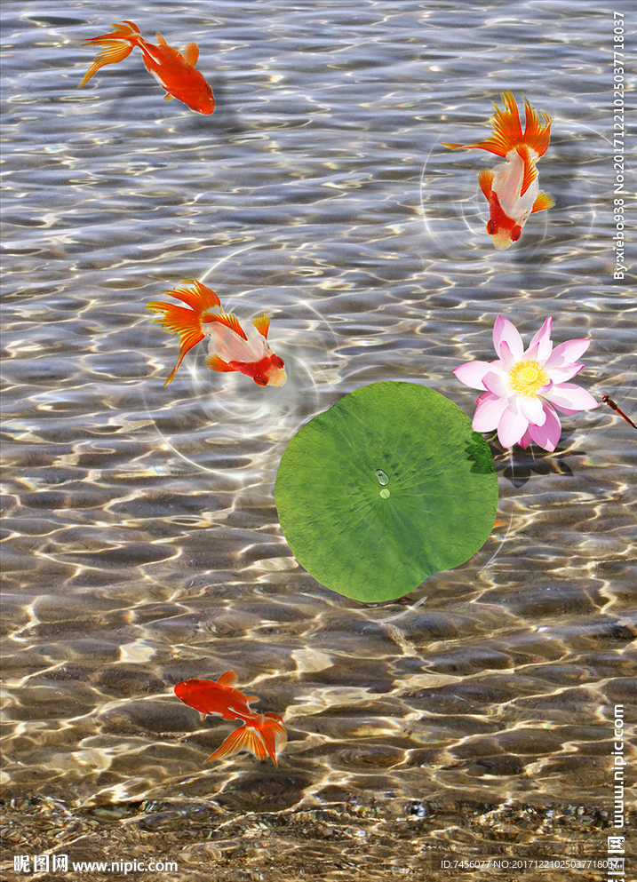 水中莲花游鱼高清玄关过道