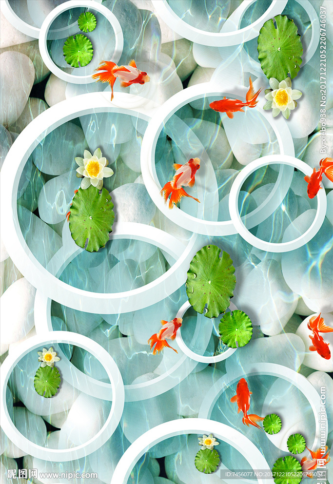 金鱼荷叶立体圈圈玄关过道