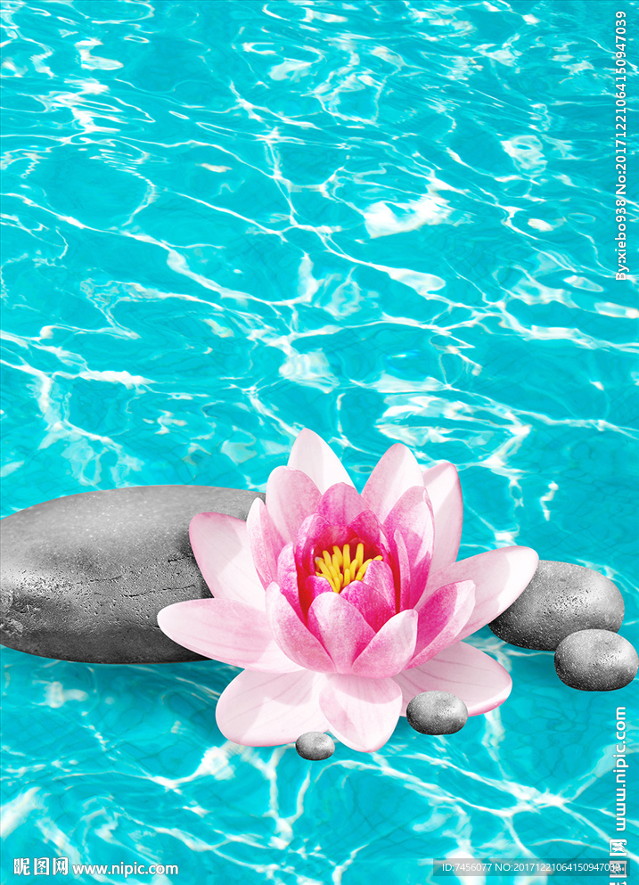 莲花石头海水玄关过道