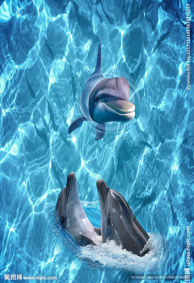 海豚海景高清玄关过道