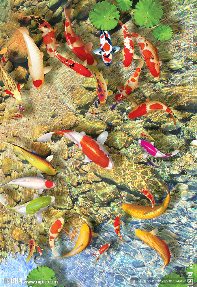 游鱼荷叶高清玄关过道