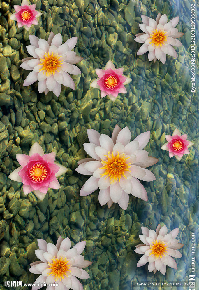 水中莲花唯美玄关过道