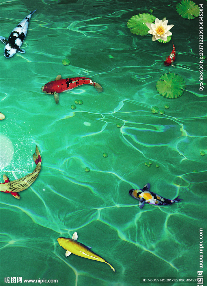 莲花荷叶游鱼高清玄关过道