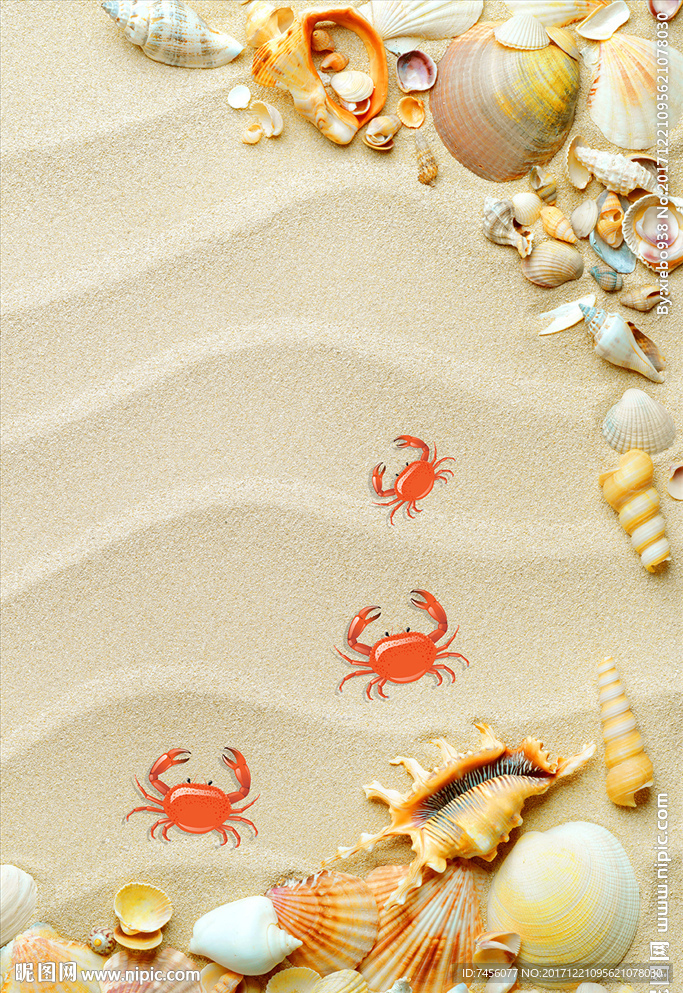 沙滩海螺海星玄关过道