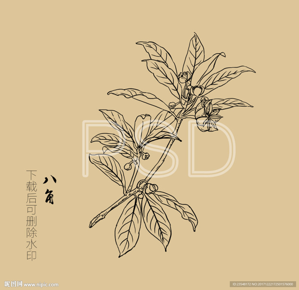 八角