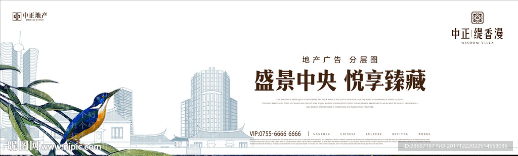 翠鸟 鸟 石头 地面 树枝 树