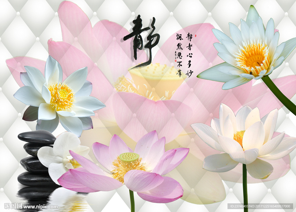 荷花背景墙