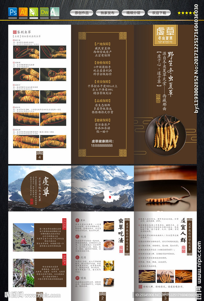 冬虫夏草折页
