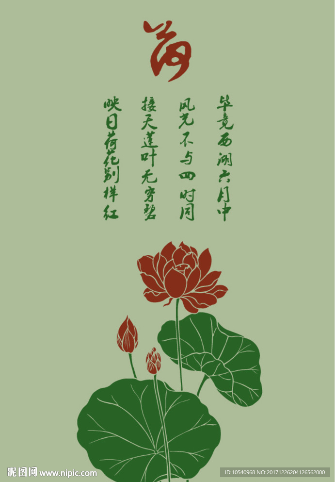 荷花