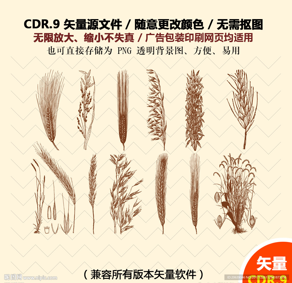 手绘麦子麦穗矢量图