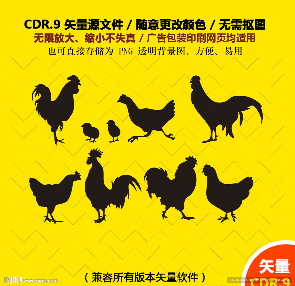 手绘线描公鸡鸡仔矢量图