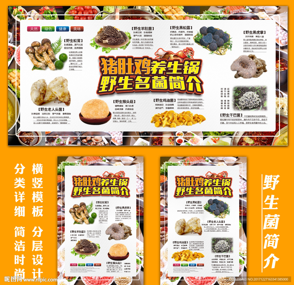 野生菌简介餐饮展板