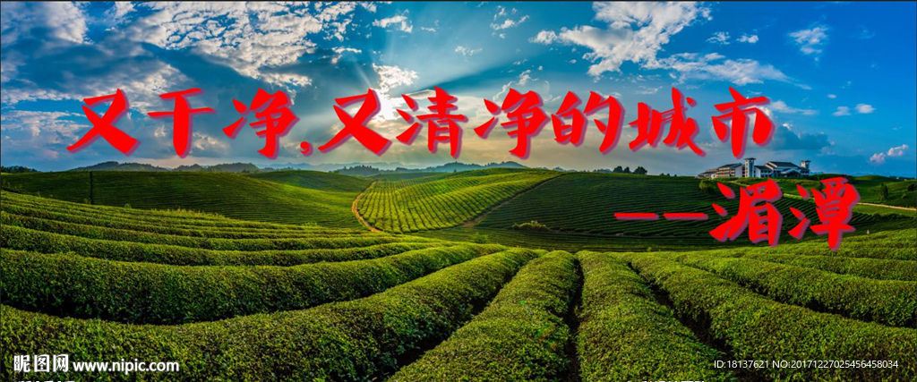 湄潭茶海