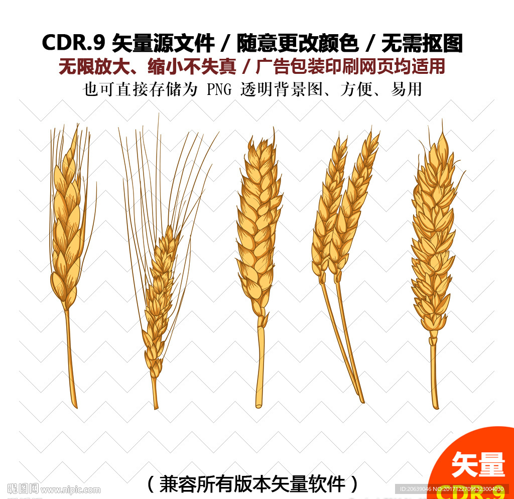 手绘麦子麦穗矢量图