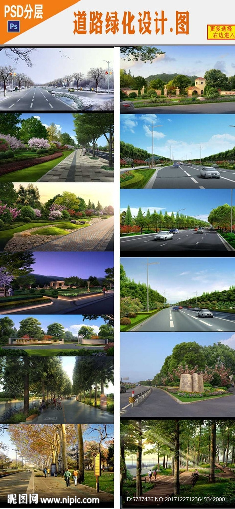 道路规划绿化