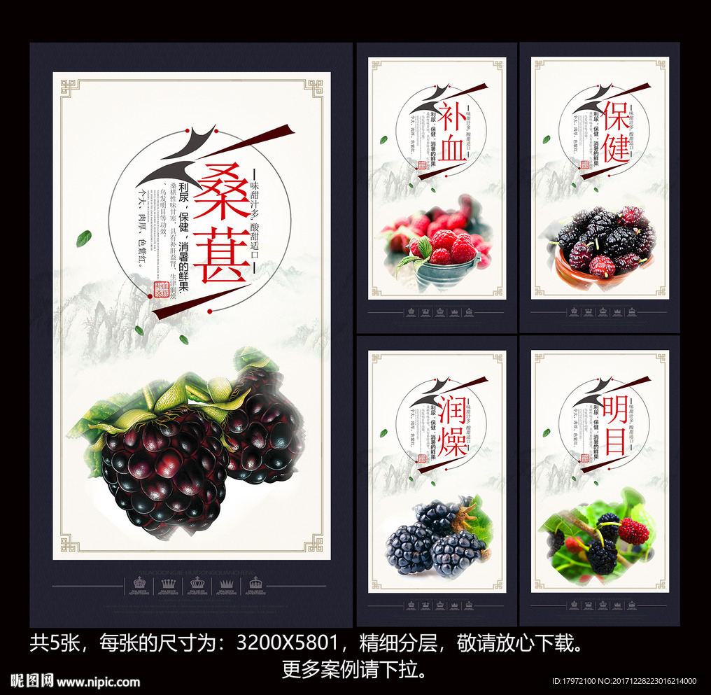 桑葚
