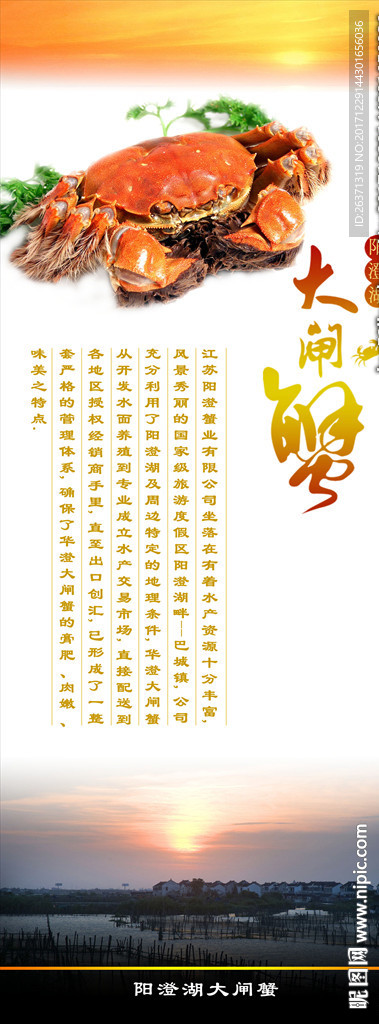 大闸蟹海报