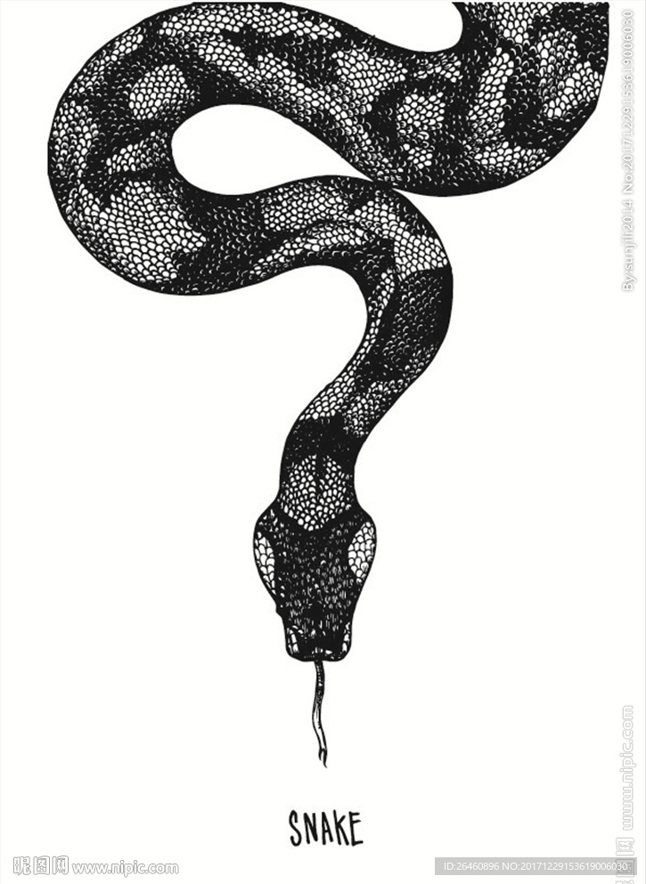 灰色的蛇图库图片