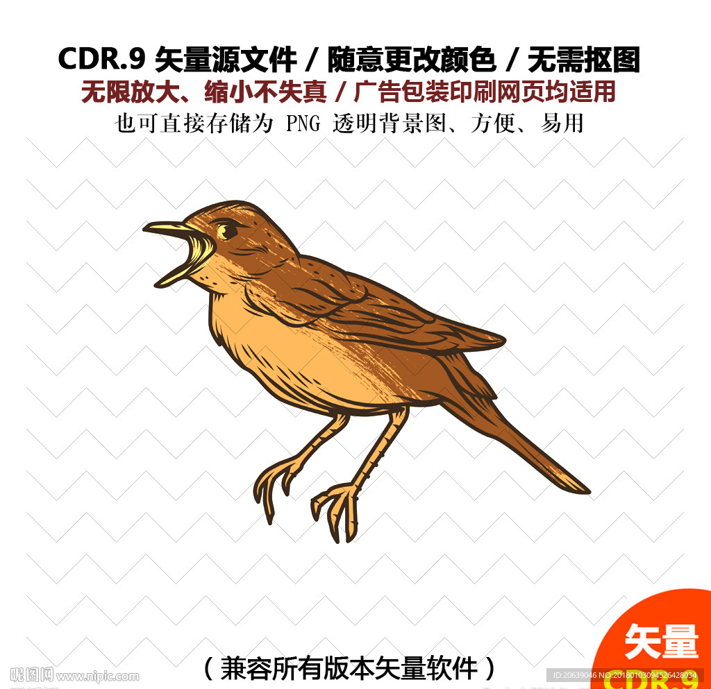 手绘小鸟素材矢量图