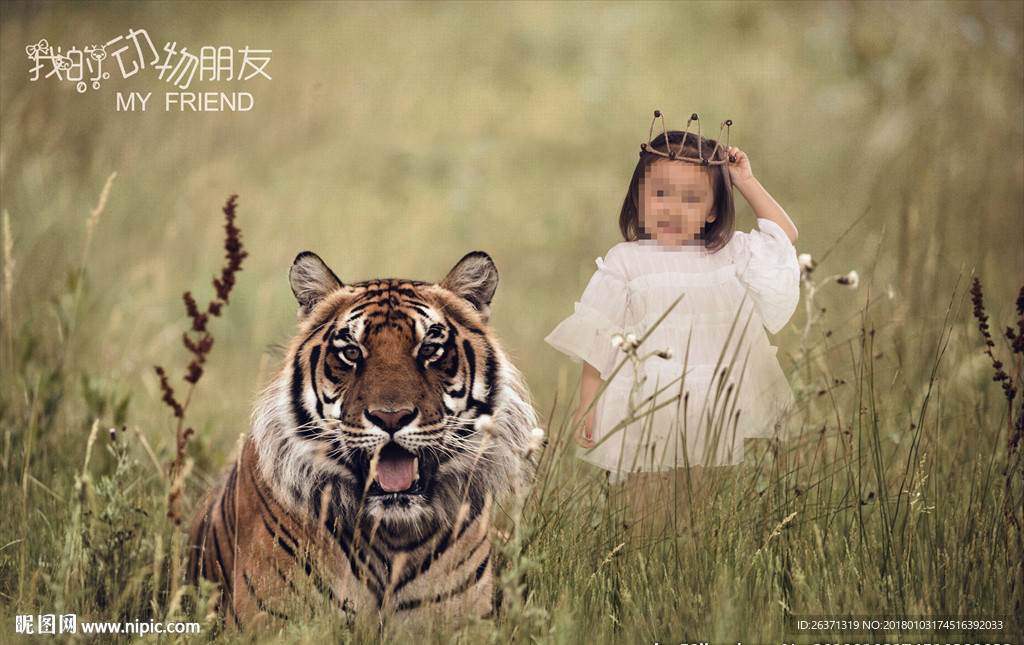 影楼摄影素材