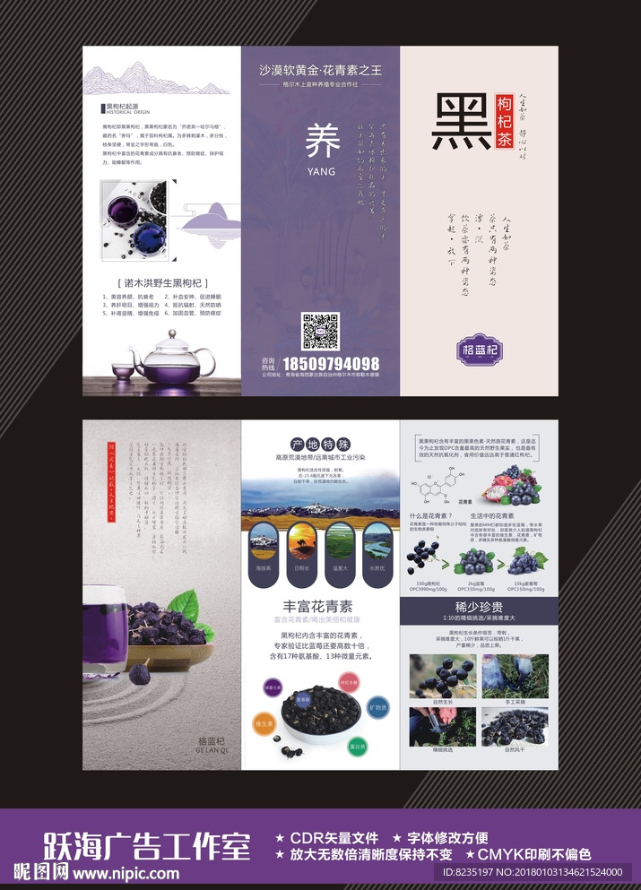 黑枸杞三折页