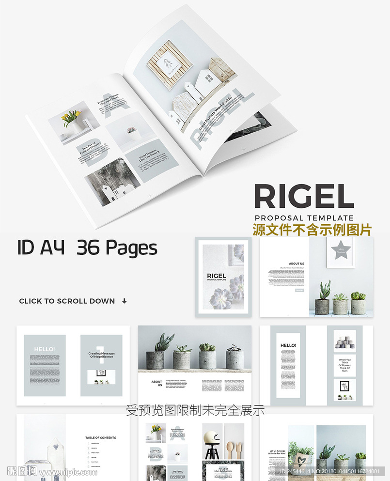 时尚风格优雅杂志画册展示图册
