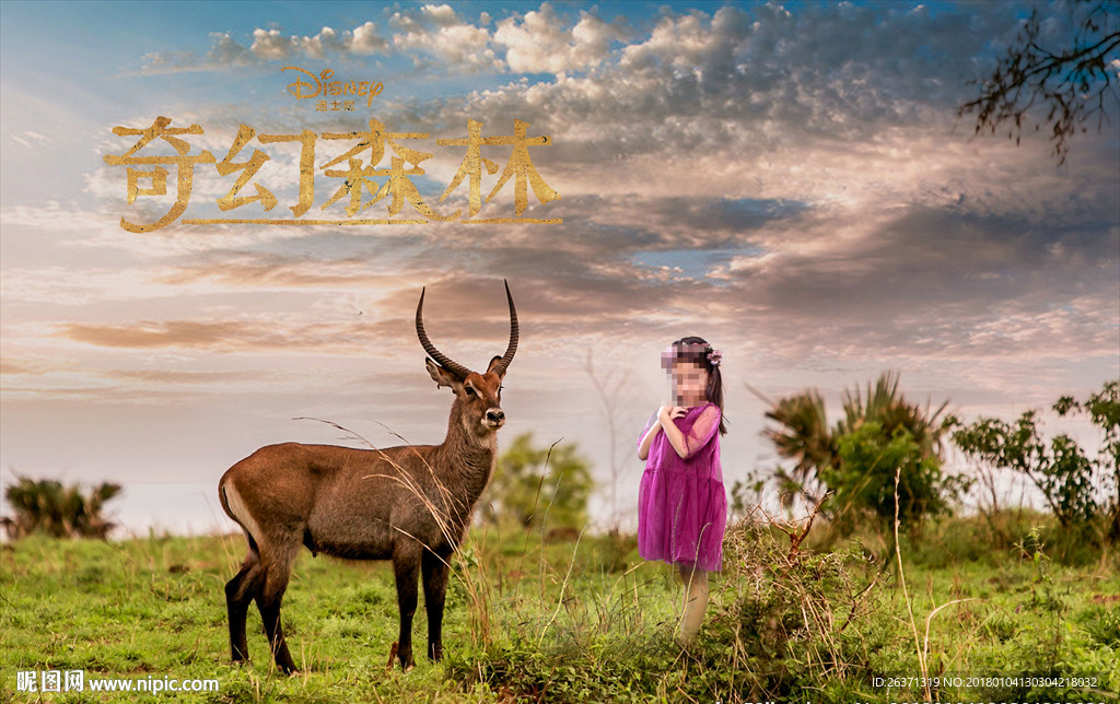 影楼摄影素材