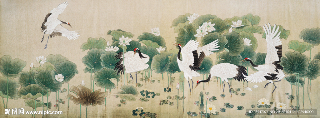 荷花
