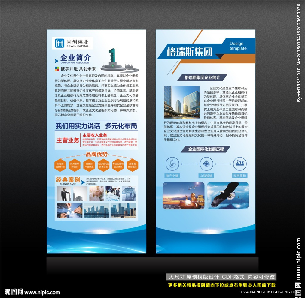 公司简介