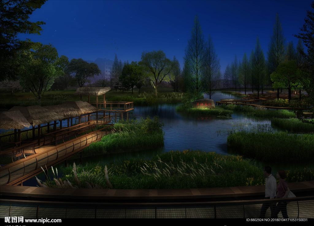 生态湿地景观夜景效果图