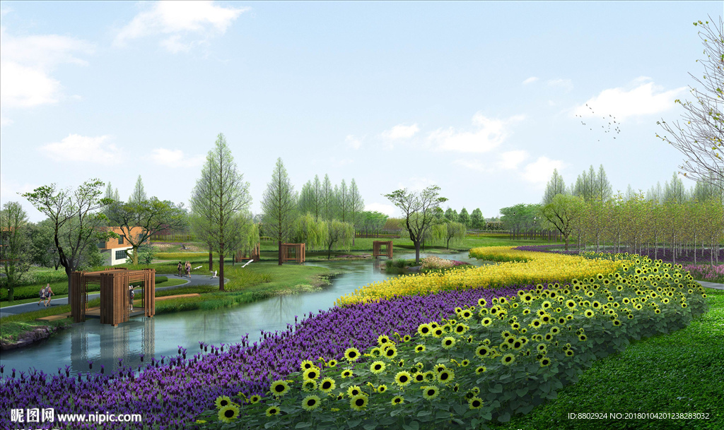 河道花海景观效果图