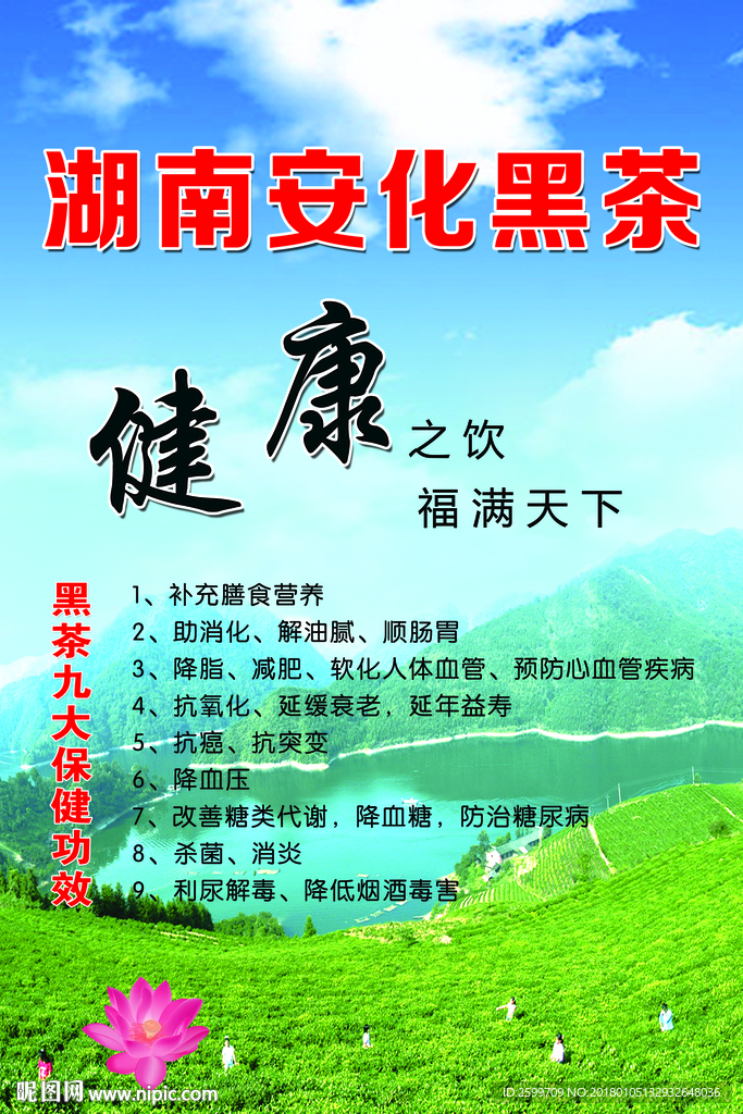茶