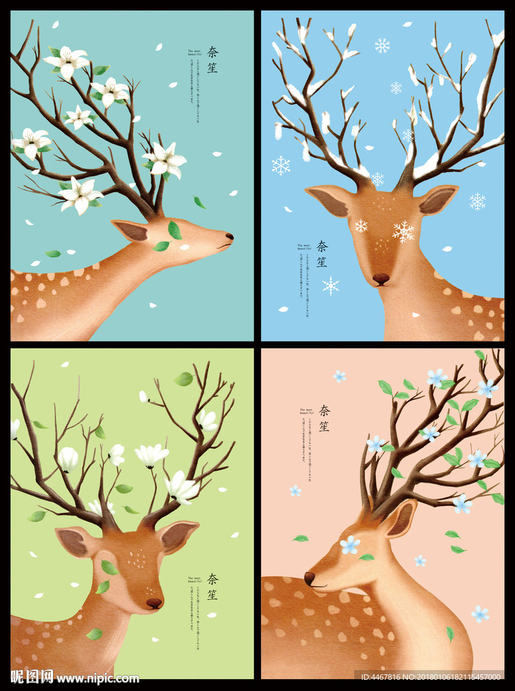梅花鹿