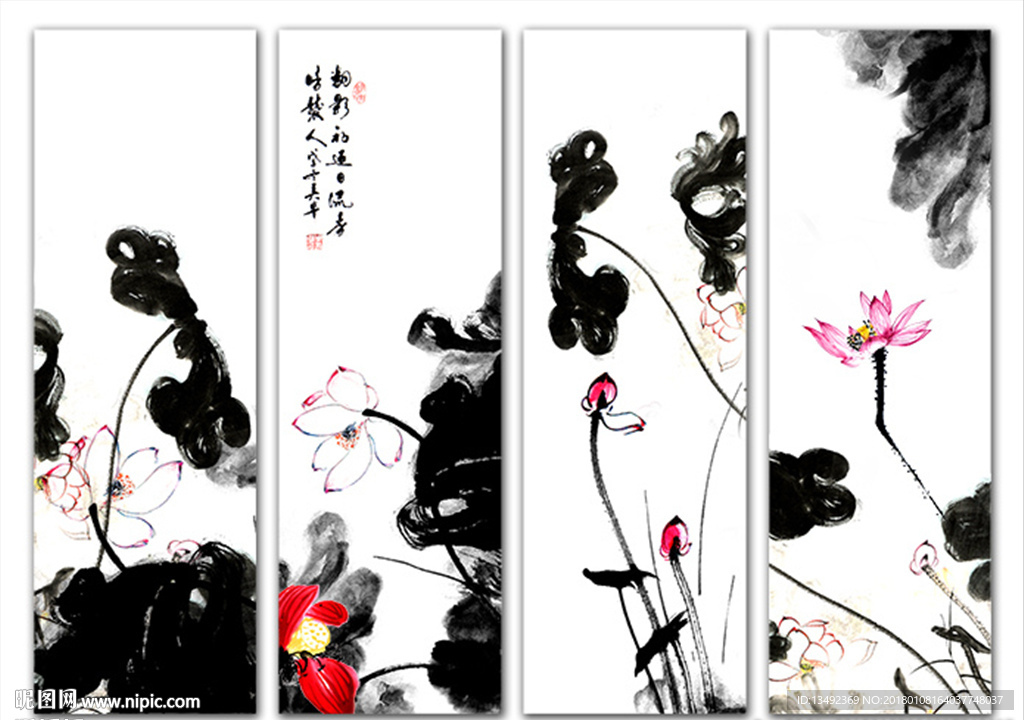荷花