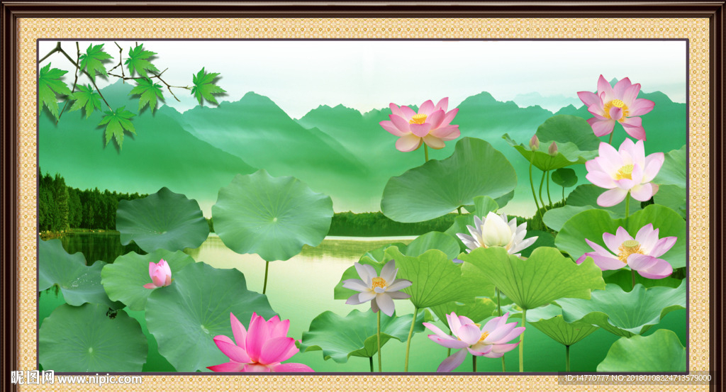荷花风景