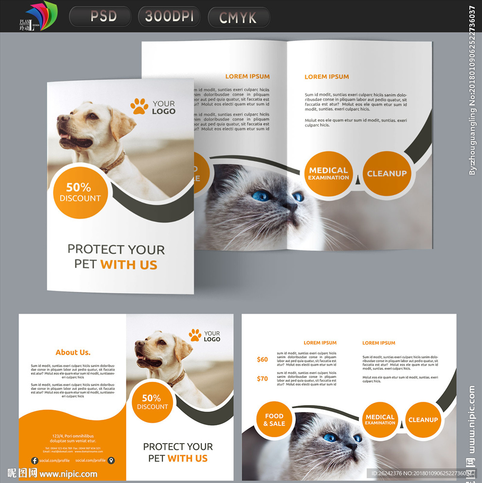 宠物折页设计