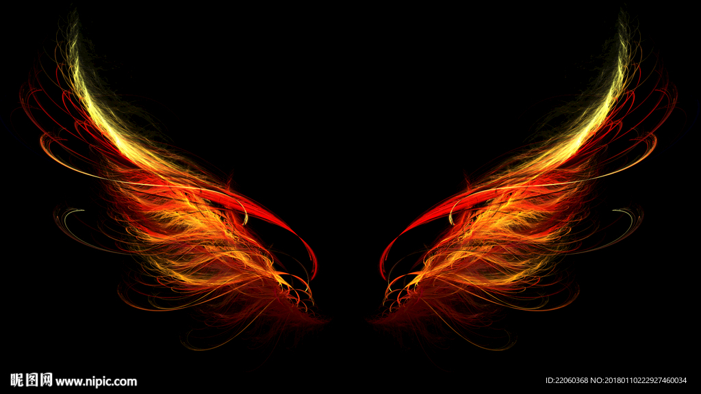 红黄色翅膀