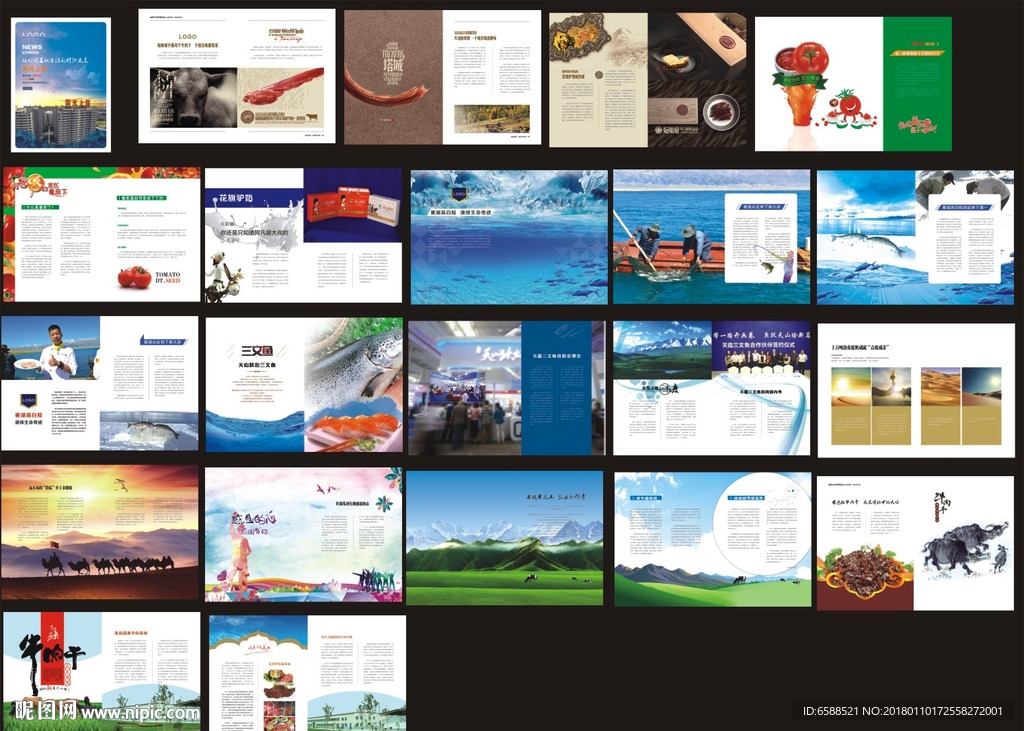 杂志  画册  DM期刊