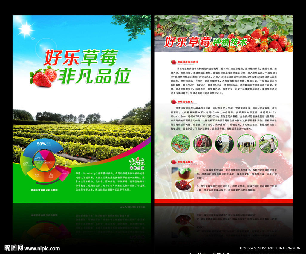 草莓广告