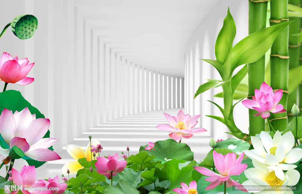 3d荷花背景墙