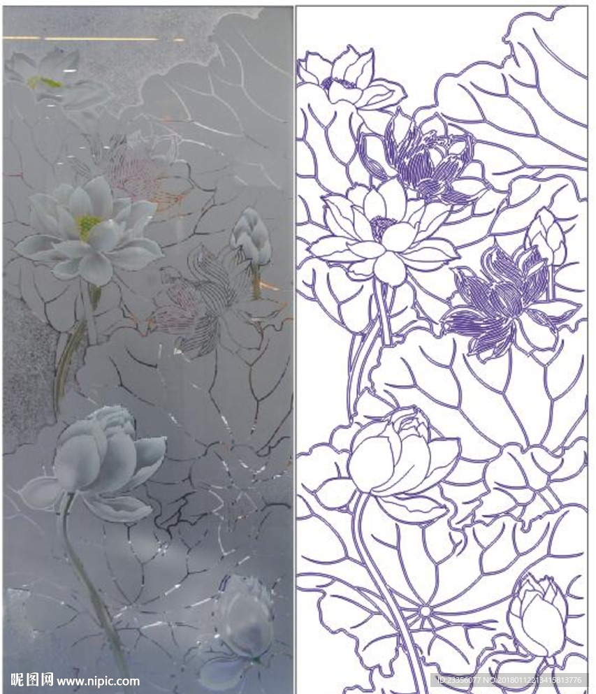 荷花