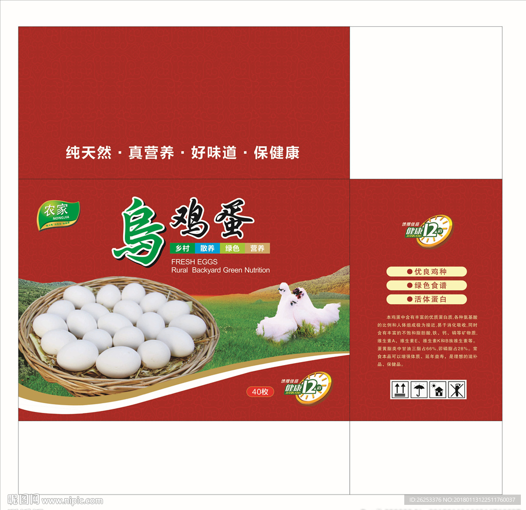 乌鸡蛋箱平面图