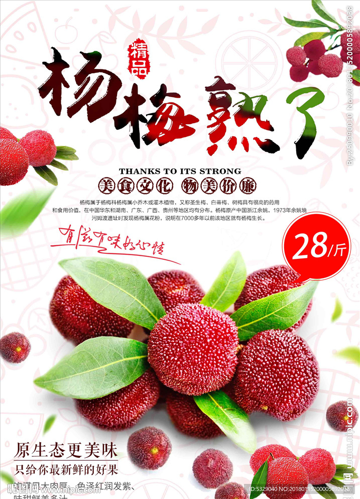 天然杨梅海报设计