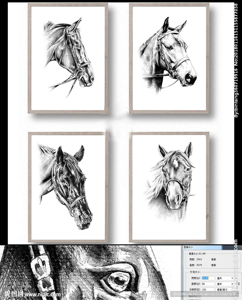 现代简约手绘骏马黑白无框装饰画