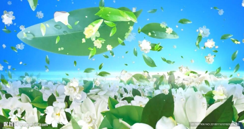 唯美花海