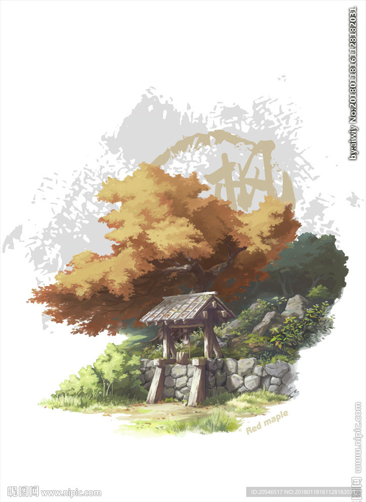 枫