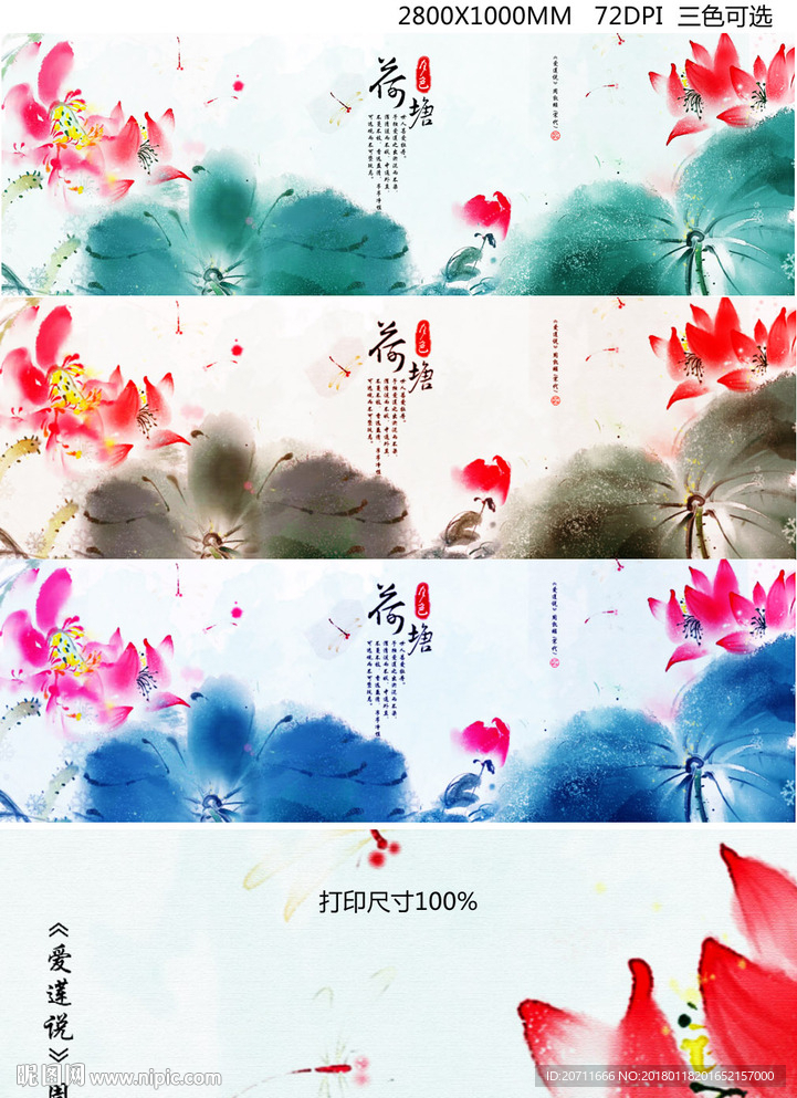荷花荷叶荷塘大型背景