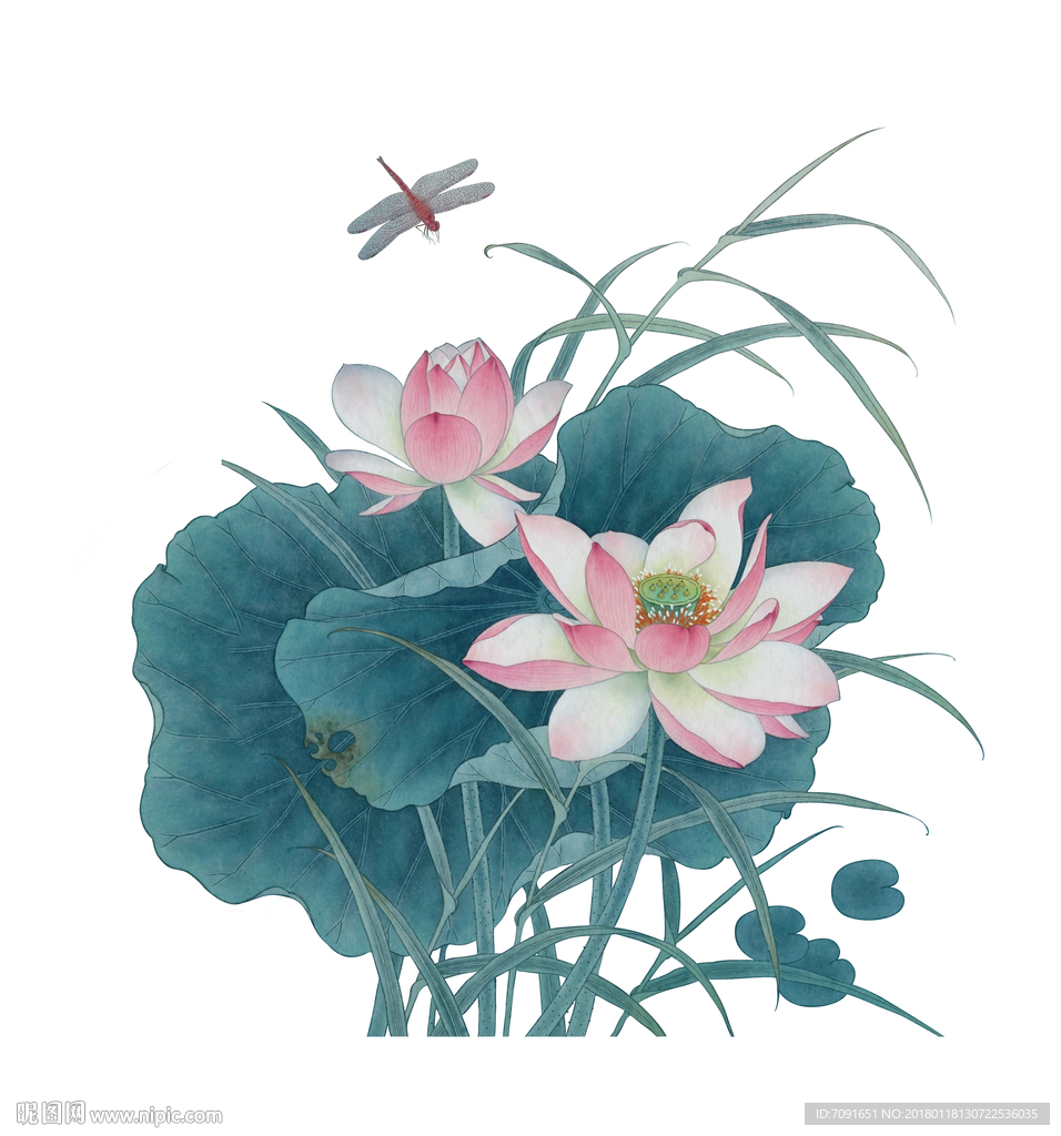 国画花鸟