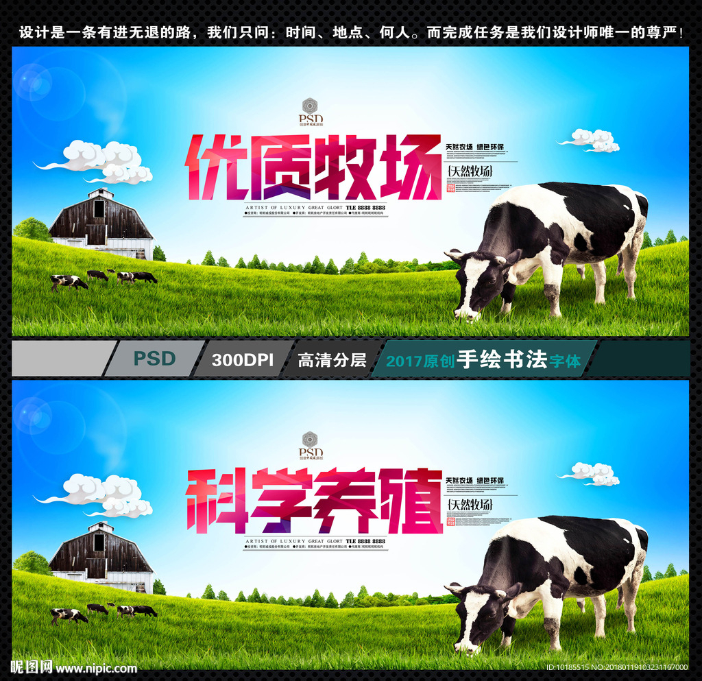 养殖